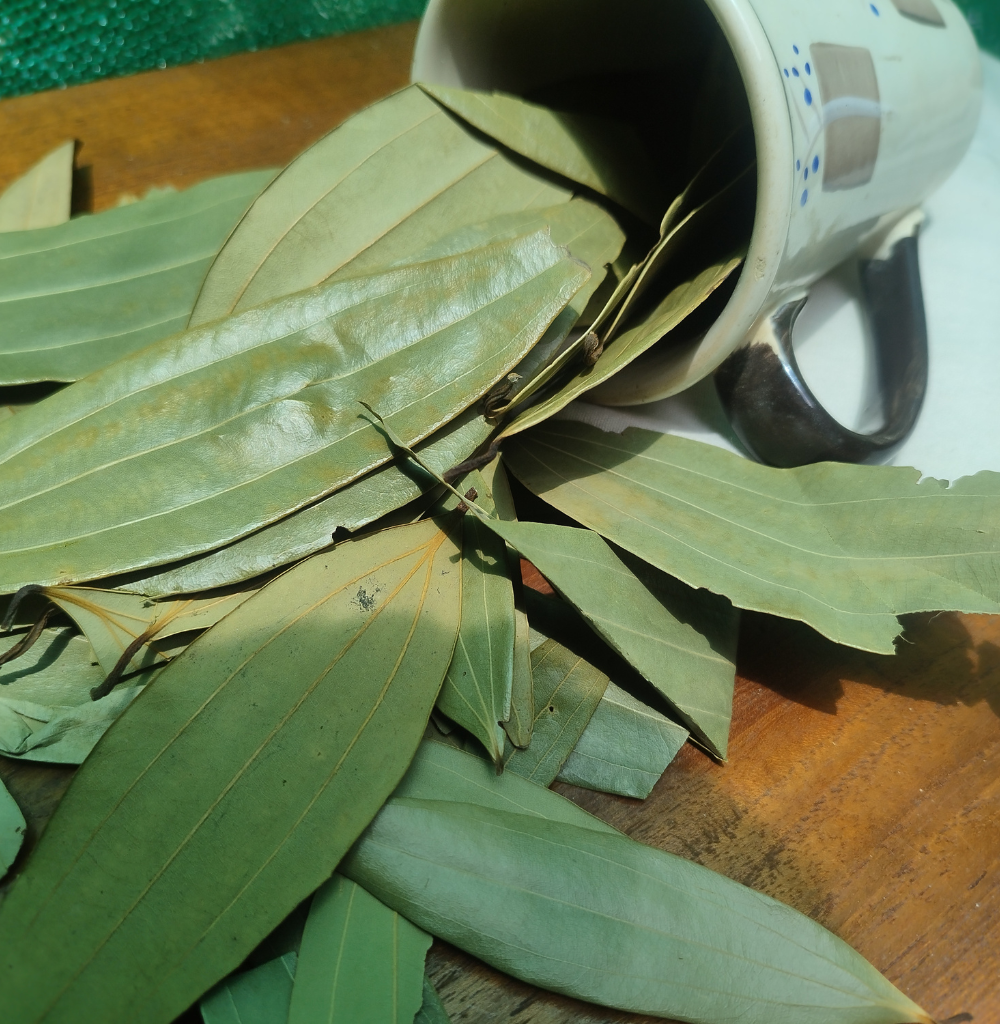 Tej Patta (Indian Bay Leaf)