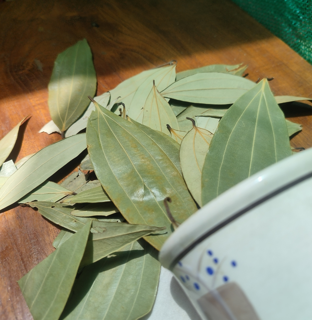 Tej Patta (Indian Bay Leaf)