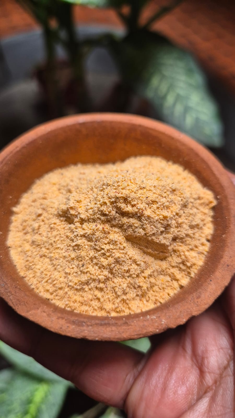 Garlic Chutney powder