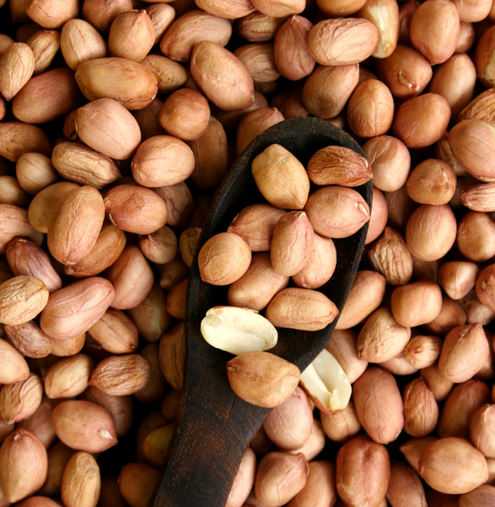 Buy organic groundnuts online at Bio Basics