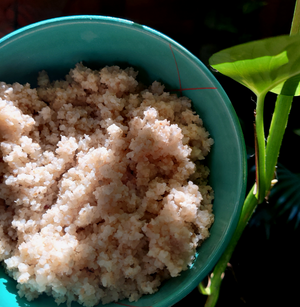 Buy Raw Little milet online at Bio Basics