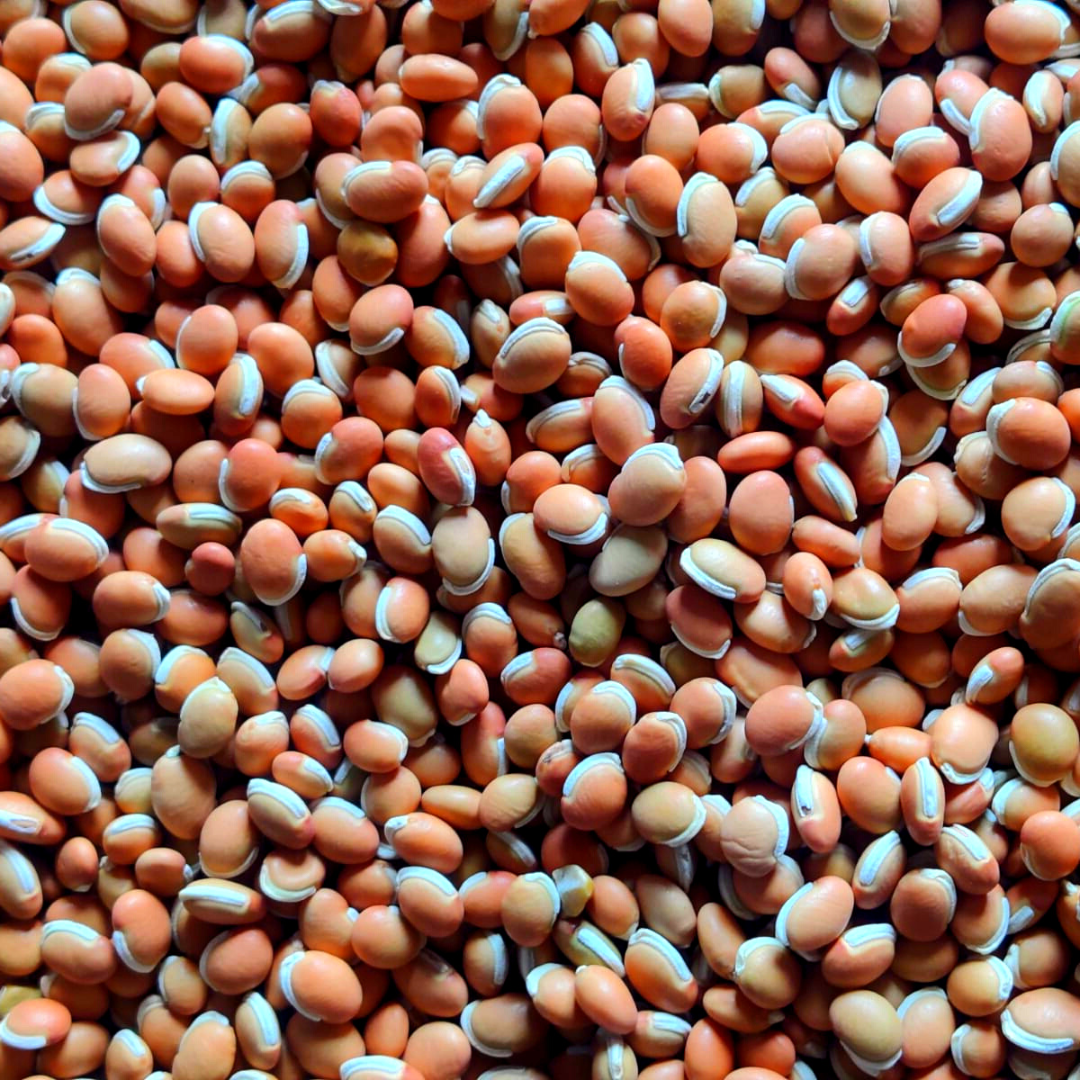 Fava Beans (Mochai)