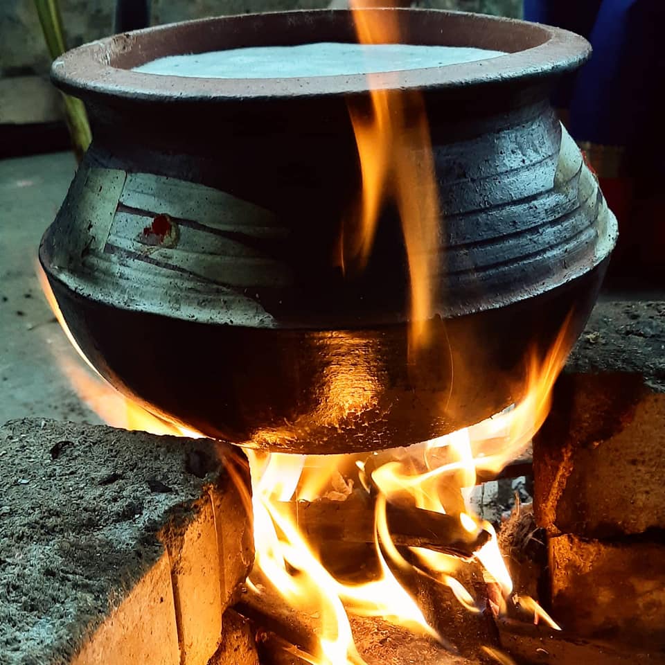 How Pongal became one of the festivals I celebrate