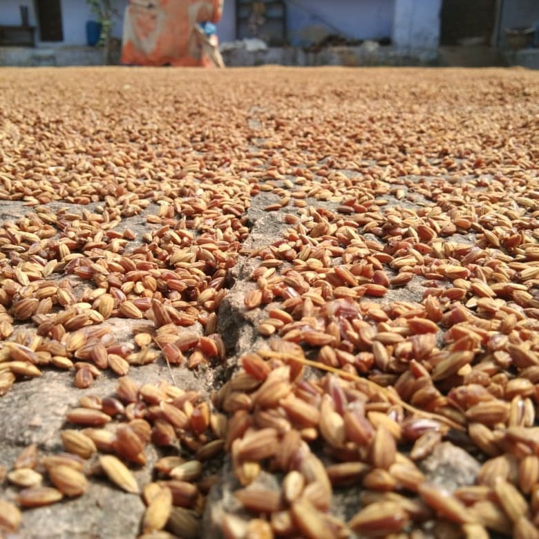 World Environment Day