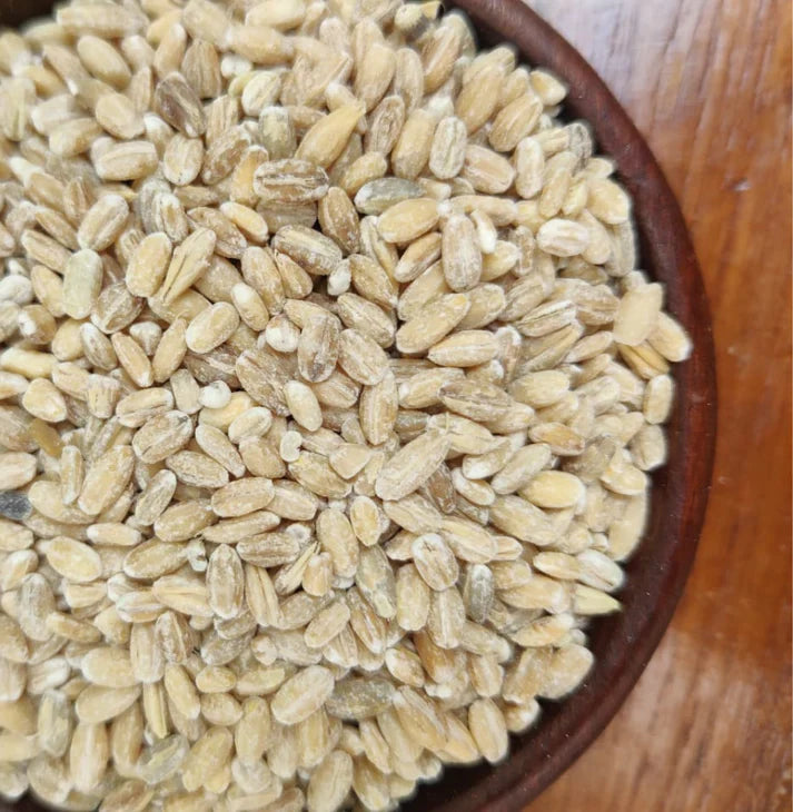 Meet Barley, the wonder Grain