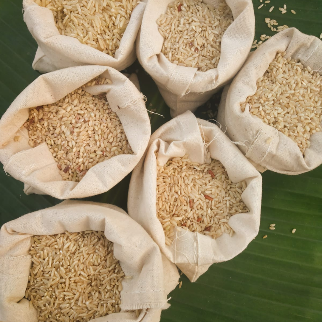 wheat Varieties of Bio Basics 