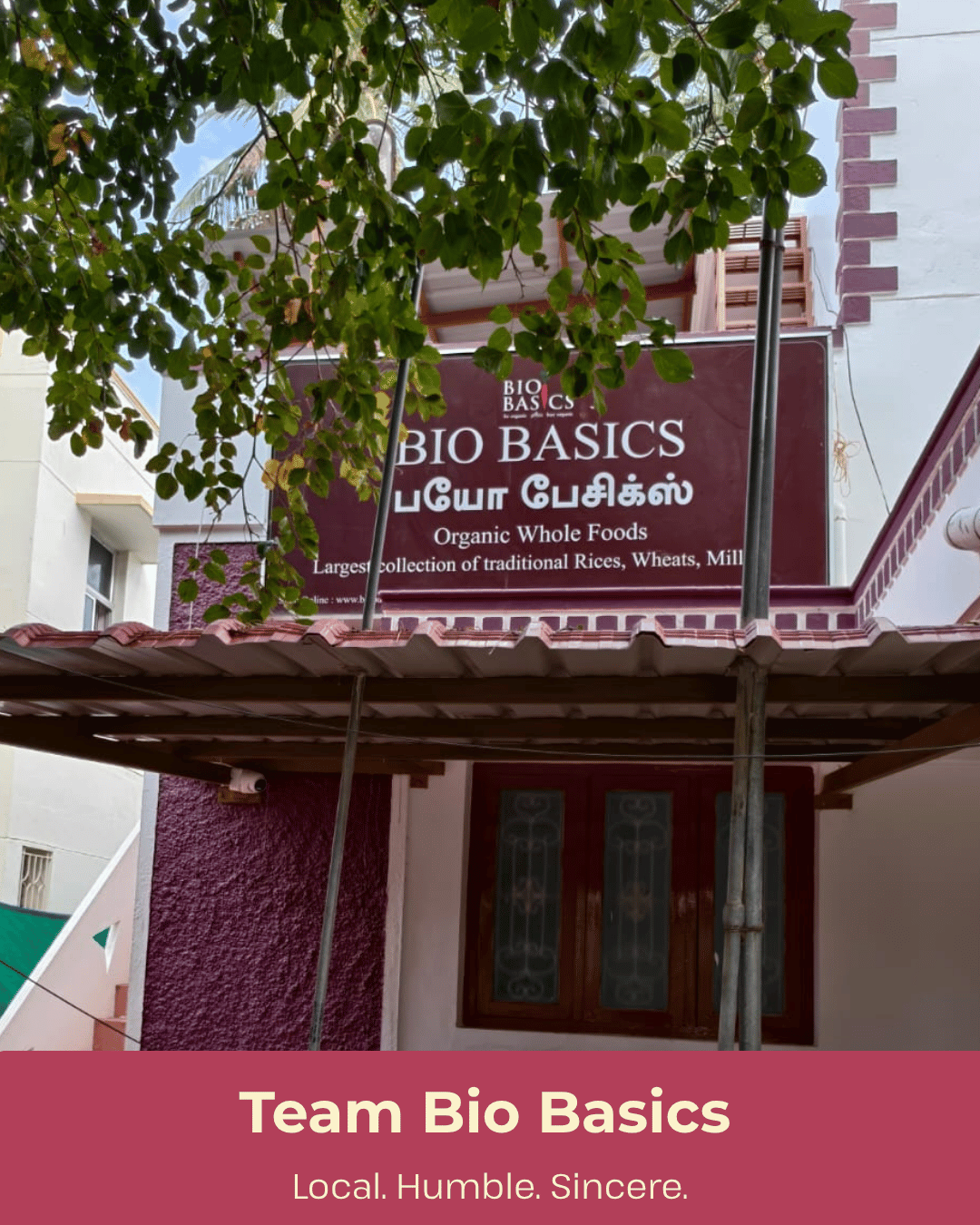 The Bio Basics Team