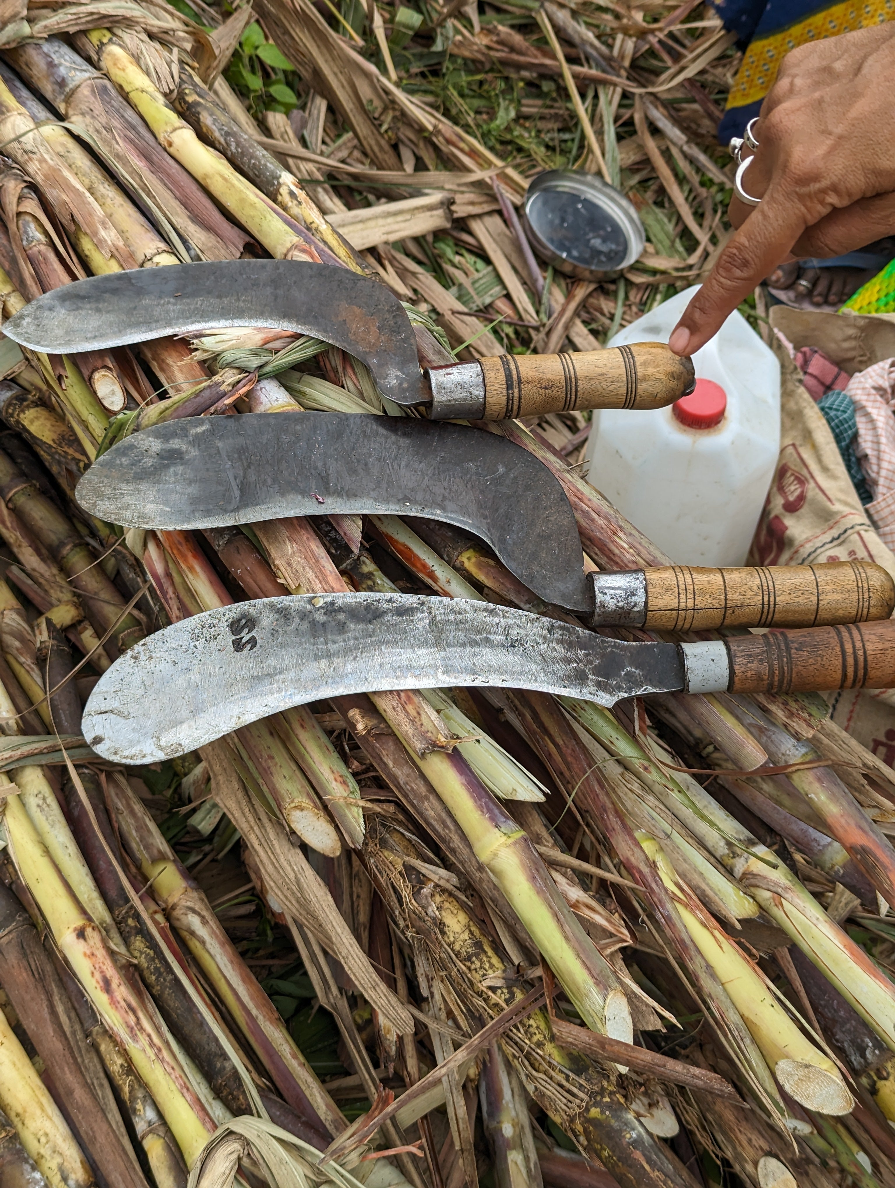 The Sourness of the Sweet