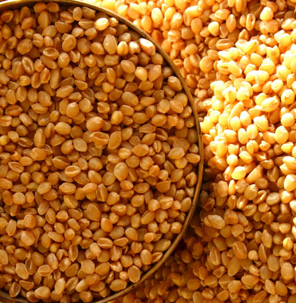 Why Eat Indigenous Wheats?