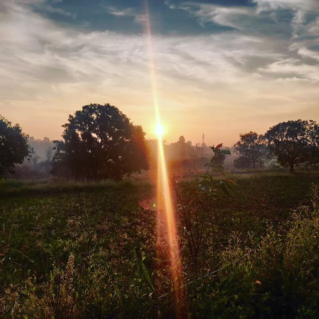 Farm visits & falling in love!