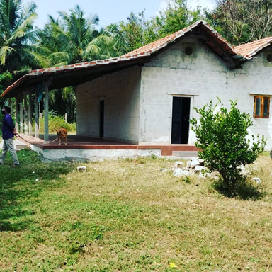 Only One Earth - World Environment Day 2022