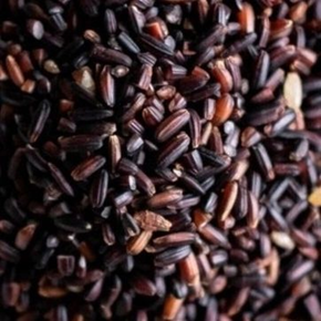 The rice that makes bread - Kala malliphulo rice