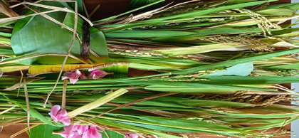 Illam nira, Vallam nira, Vallotti nira