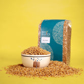 Bansi (durum) Wheat