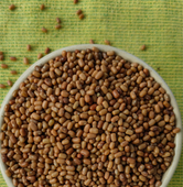 Moath Beans
