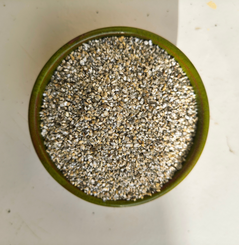 Pearl Millet Dalia
