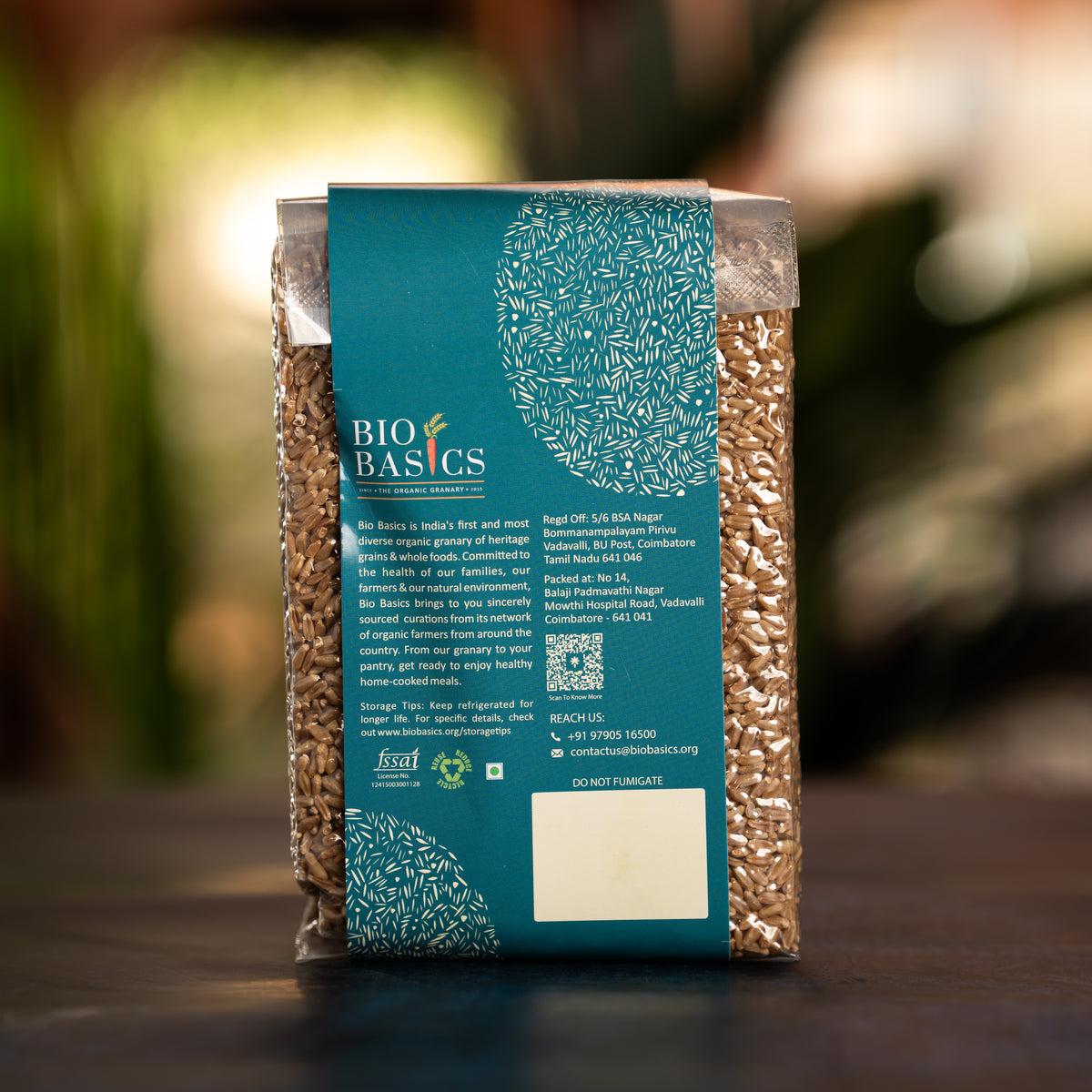 Sharbati wheat