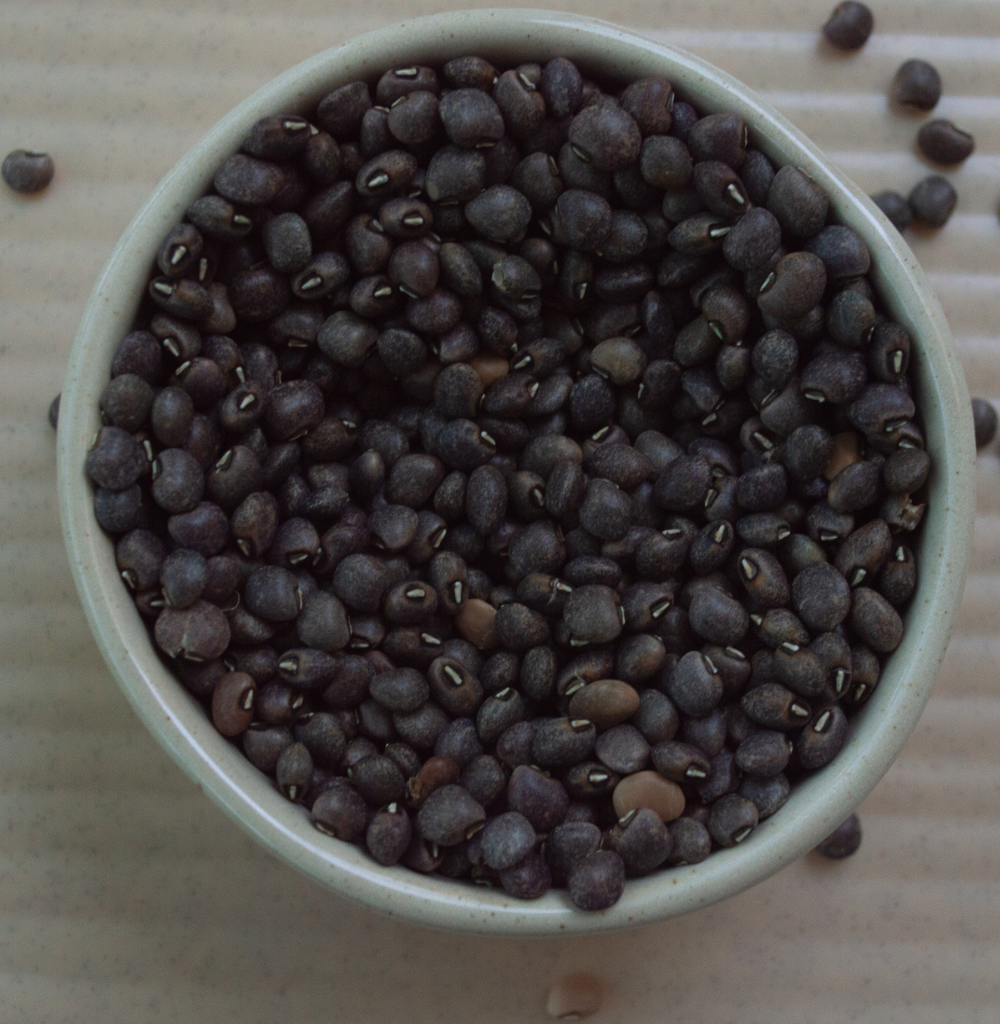 Buy Black Cow pea online at Bio Basics 