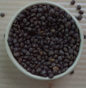 Buy Black Cow pea online at Bio Basics 