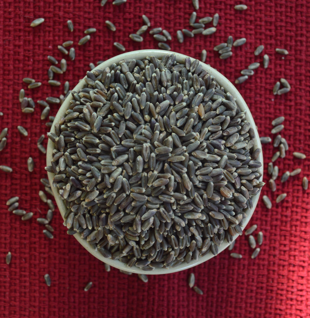 Black Wheat